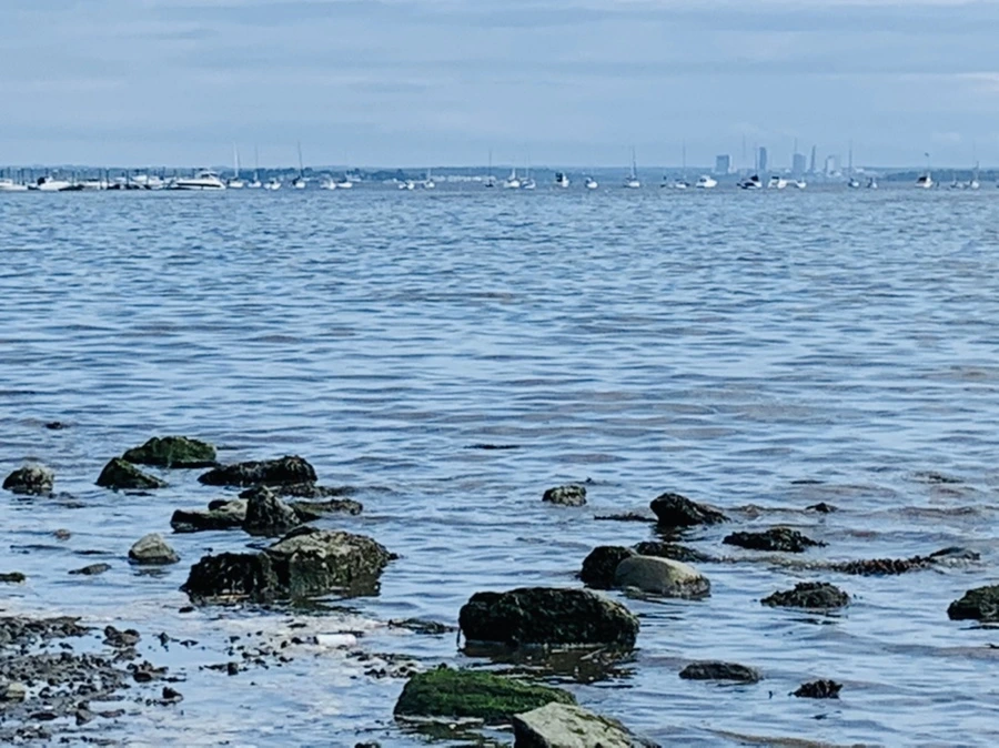 IMG_3240.jpg?type=w966