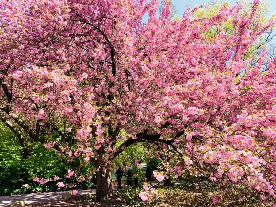 IMG_6379.jpg?type=w966