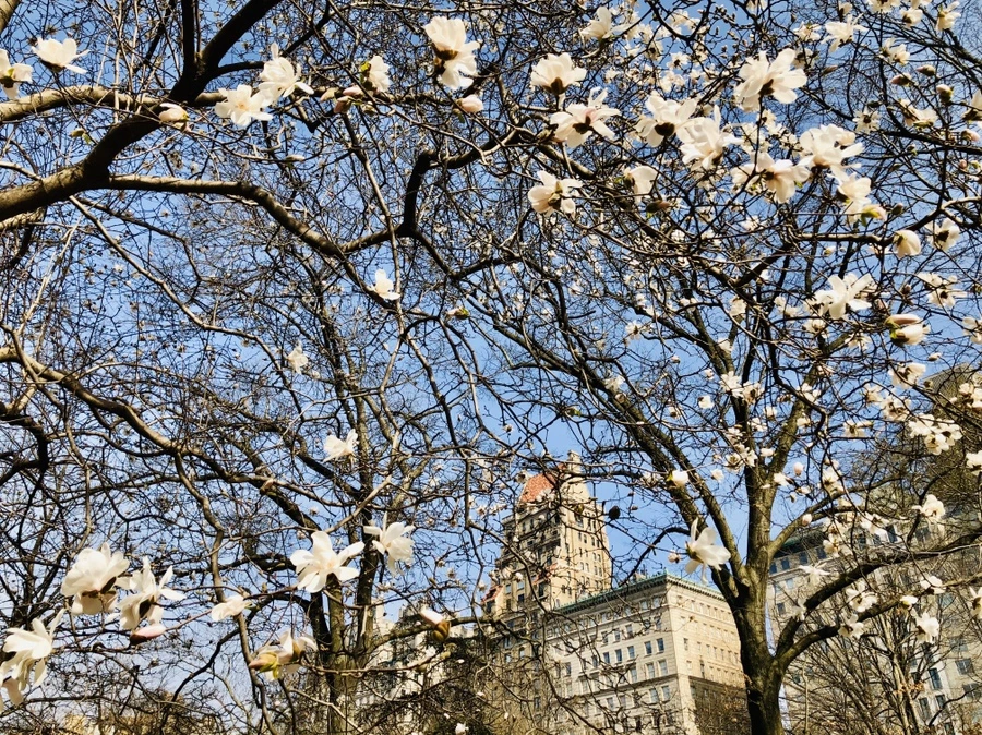 IMG_6485.jpg?type=w966