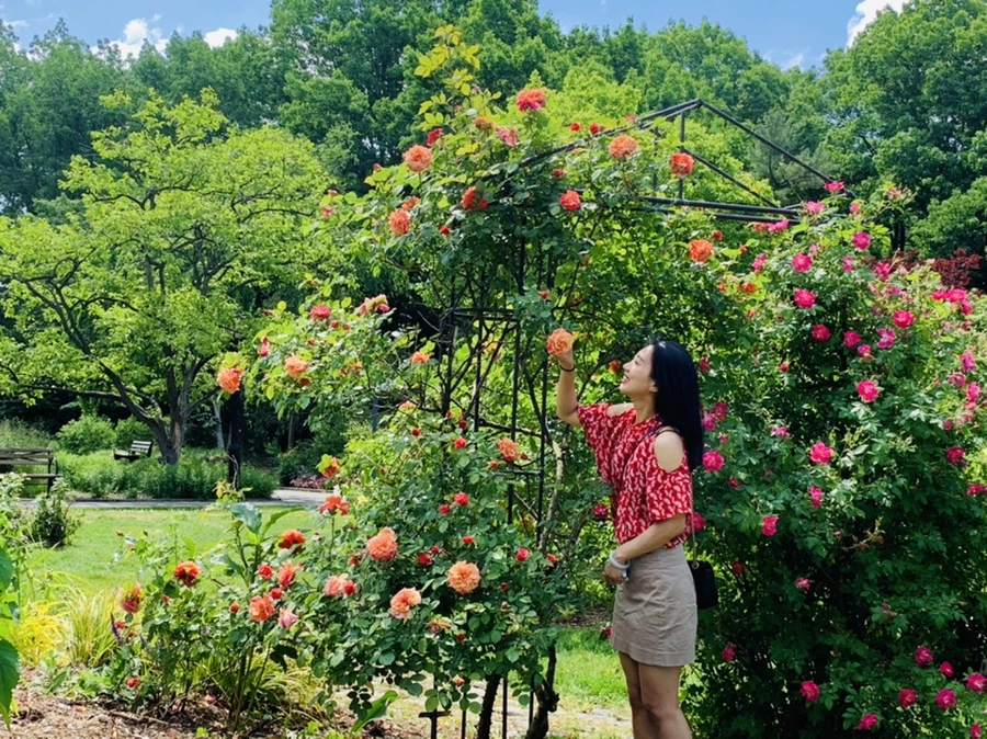 IMG_5789.jpg?type=w966