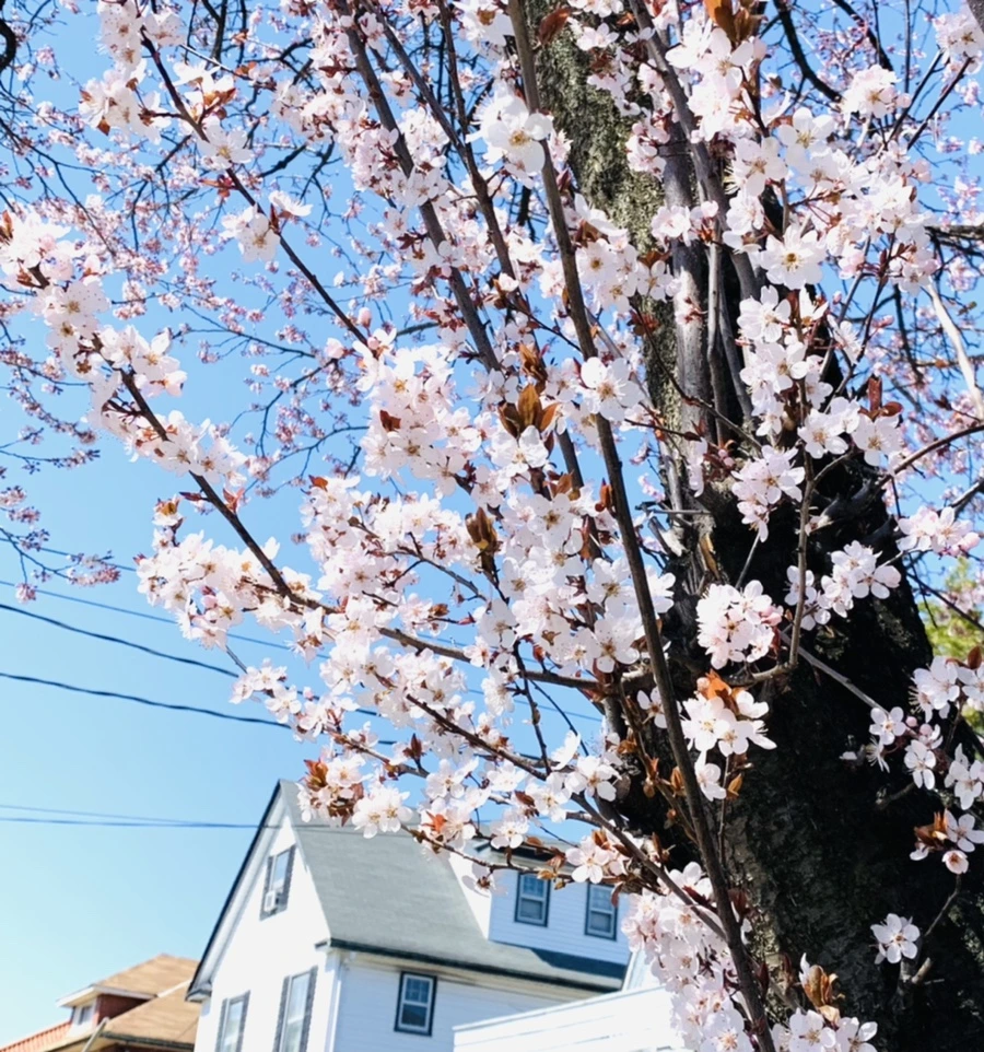 IMG_7681.jpg?type=w966