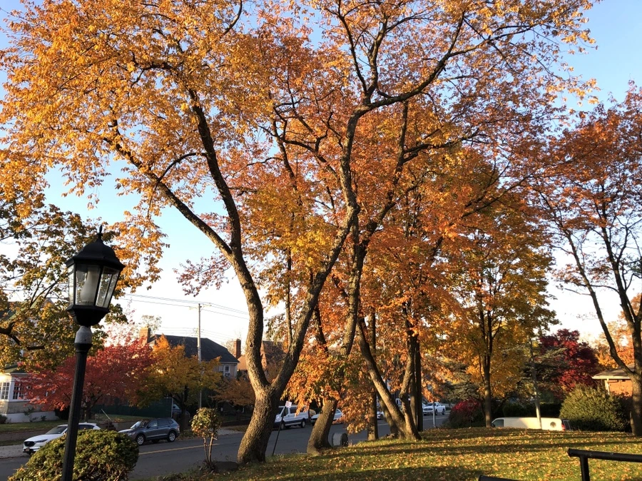 IMG_4070.jpg?type=w966