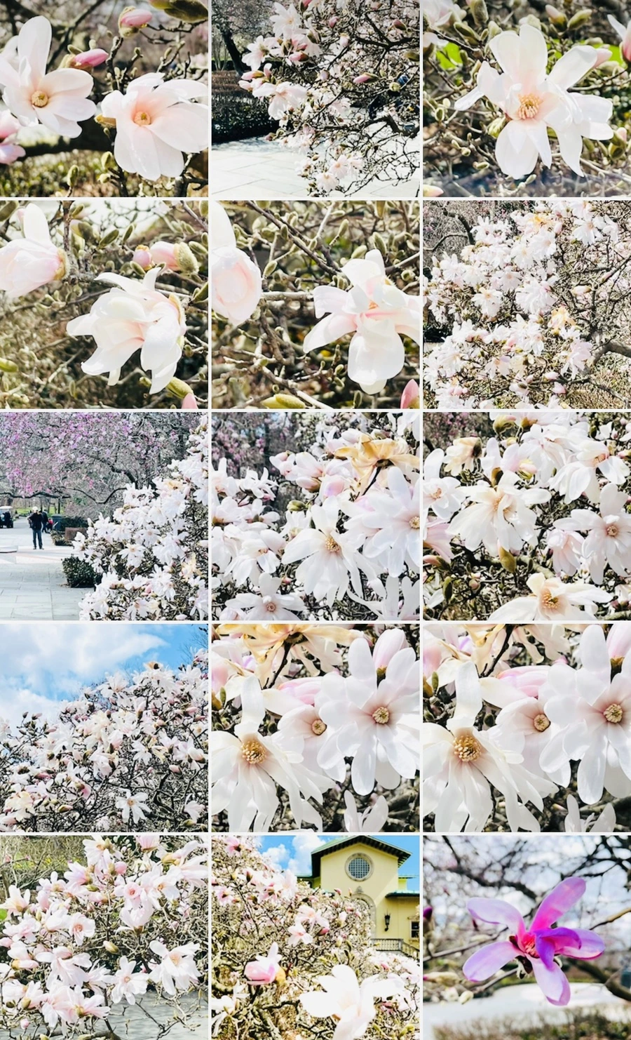 IMG_7295.jpg?type=w966