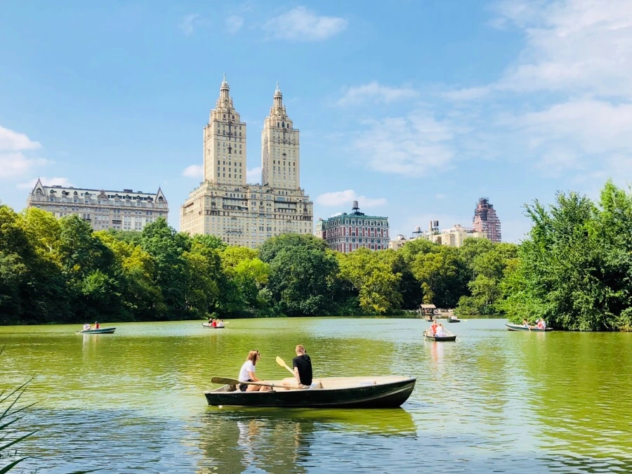 IMG_3737.jpg?type=w966