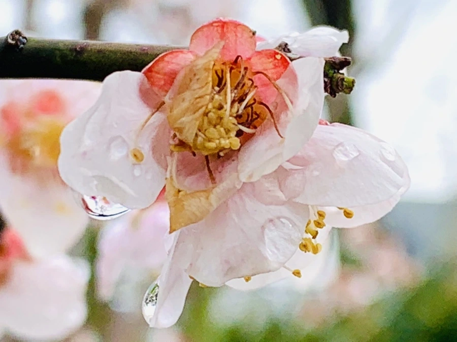 IMG_3914.jpg?type=w966