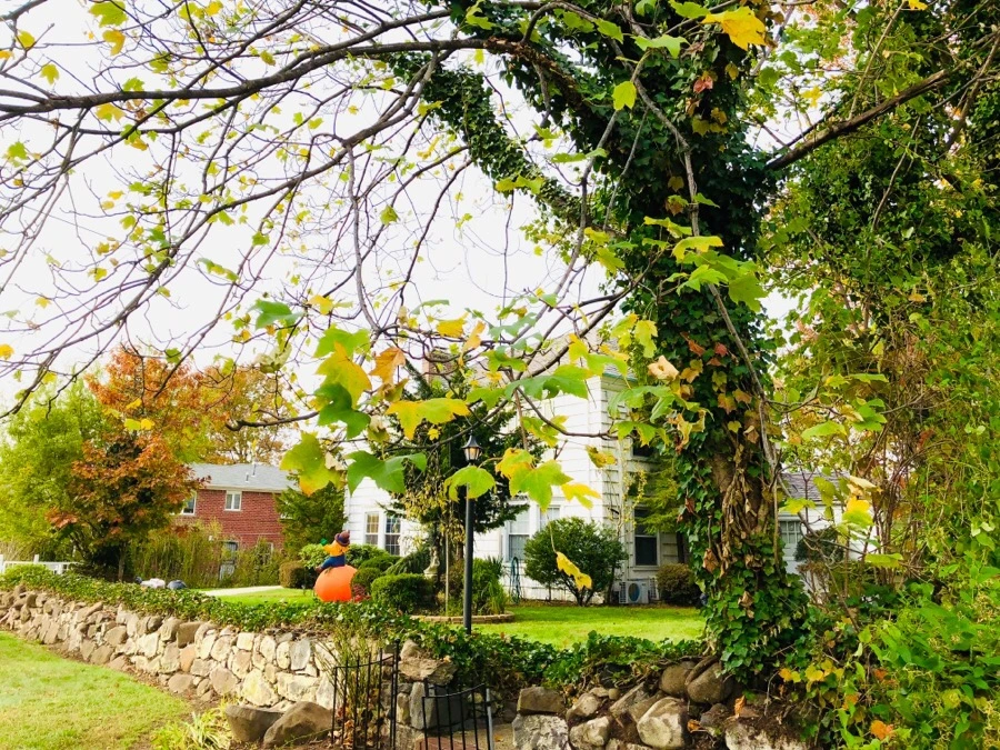 IMG_7698.jpg?type=w966