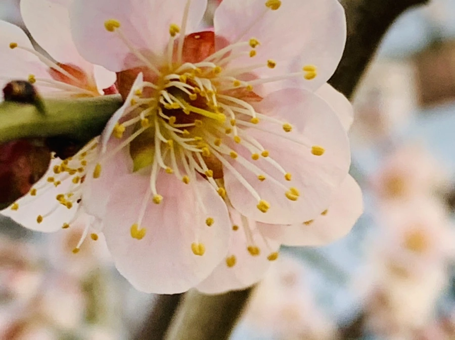 IMG_2823.jpg?type=w966