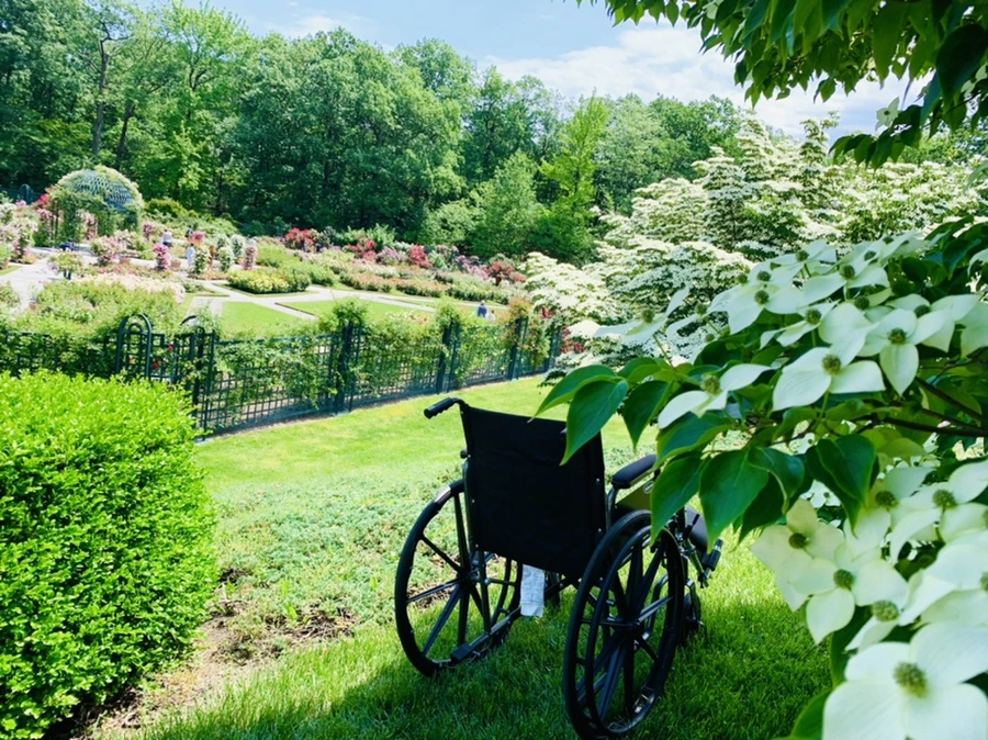 IMG_8450.jpg?type=w966