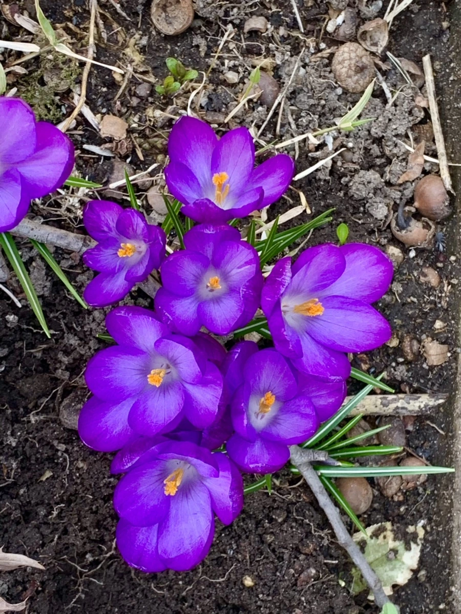 IMG_3281.jpg?type=w966