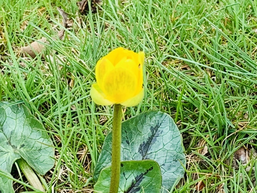 IMG_3506.jpg?type=w966