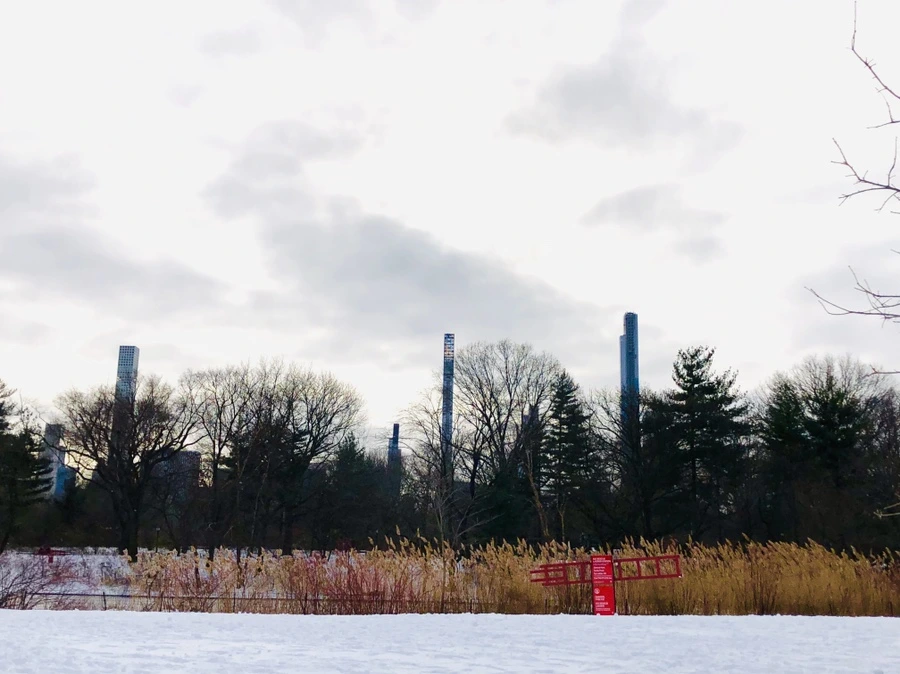 IMG_7324.jpg?type=w966