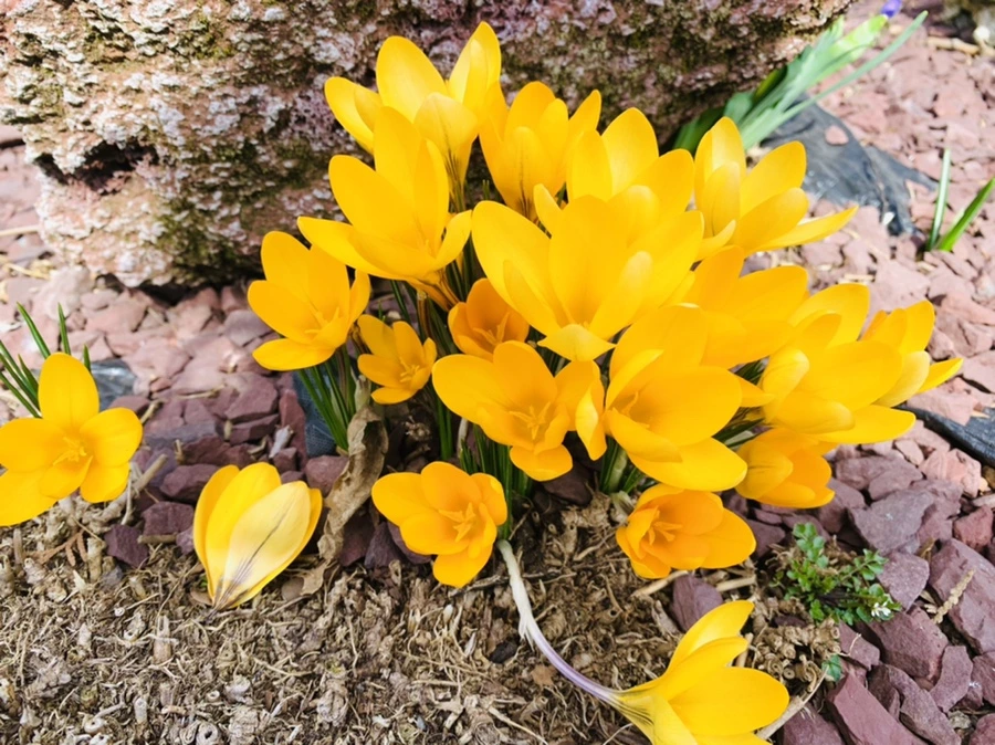 IMG_1090.jpg?type=w966