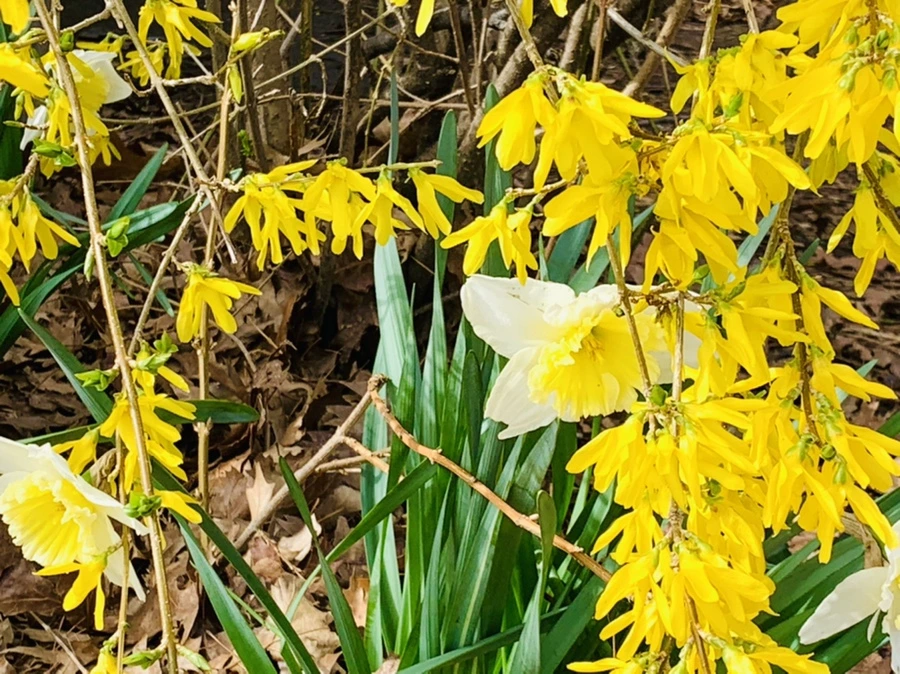 IMG_6359.jpg?type=w966