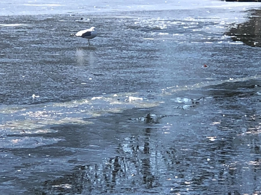 IMG_6620.jpg?type=w966