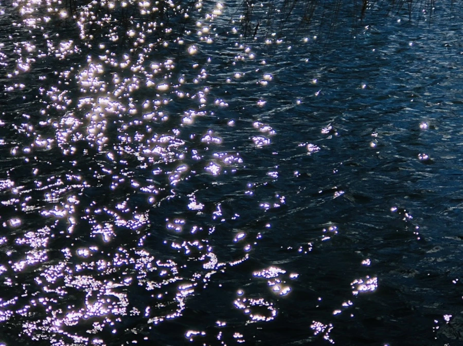 IMG_9200.jpg?type=w966