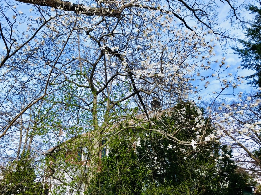 IMG_6757.jpg?type=w966