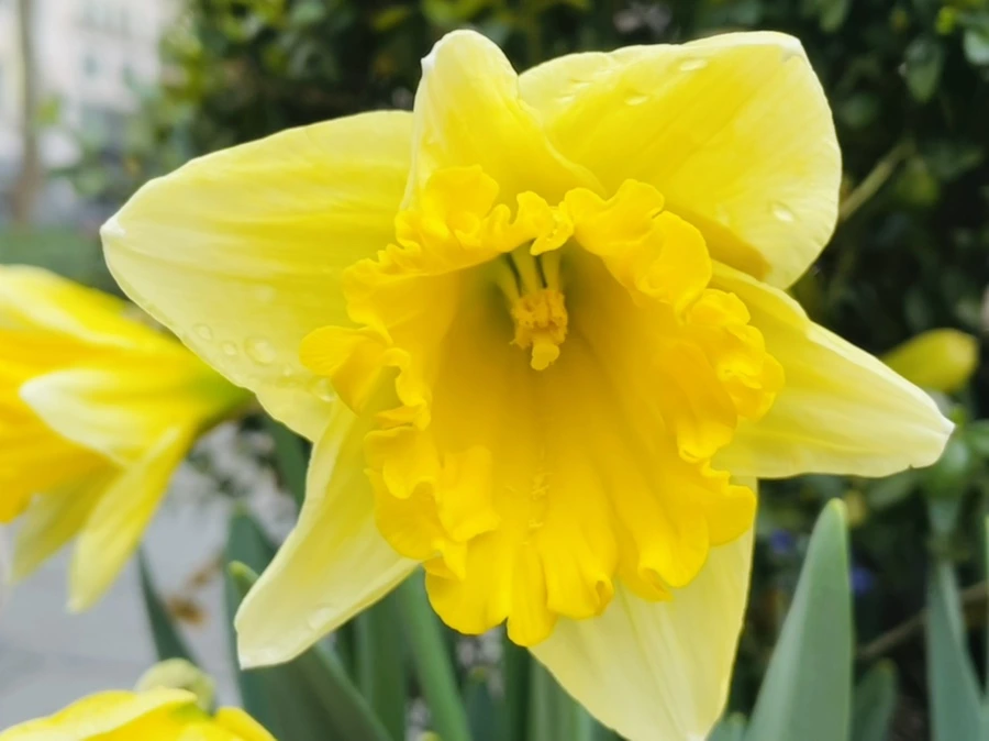 IMG_8719.jpg?type=w966