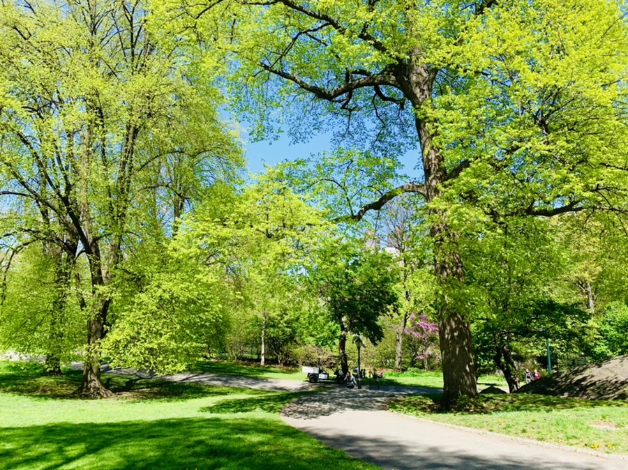 IMG_5724.jpg?type=w966