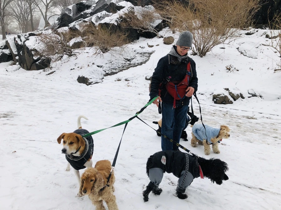 IMG_9540.jpg?type=w966