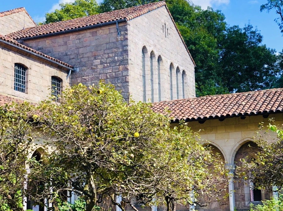 IMG_1464.jpg?type=w966