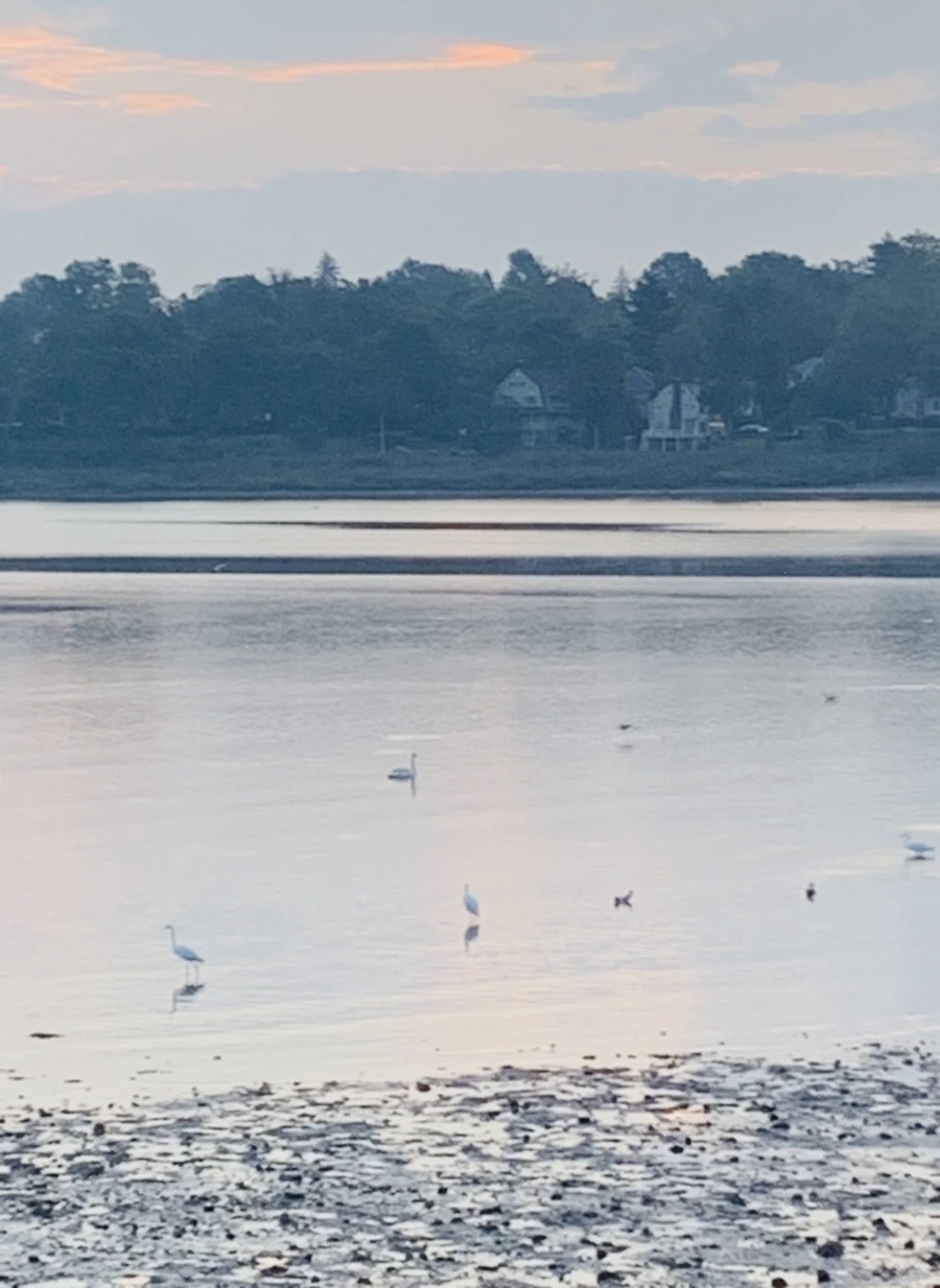 IMG_8167.jpg?type=w966