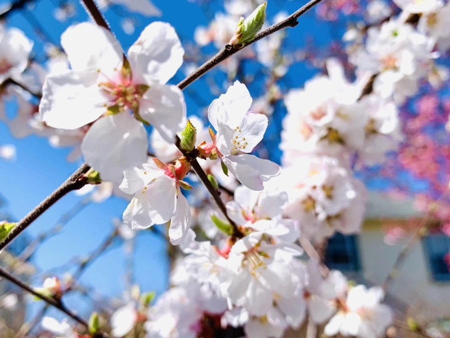 IMG_8029.jpg?type=w966