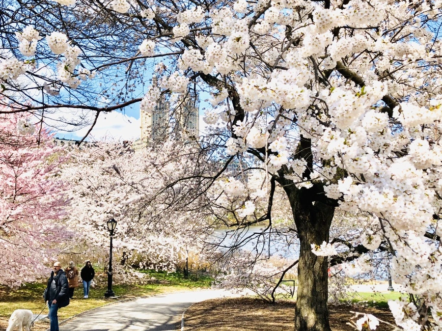 IMG_6877.jpg?type=w966