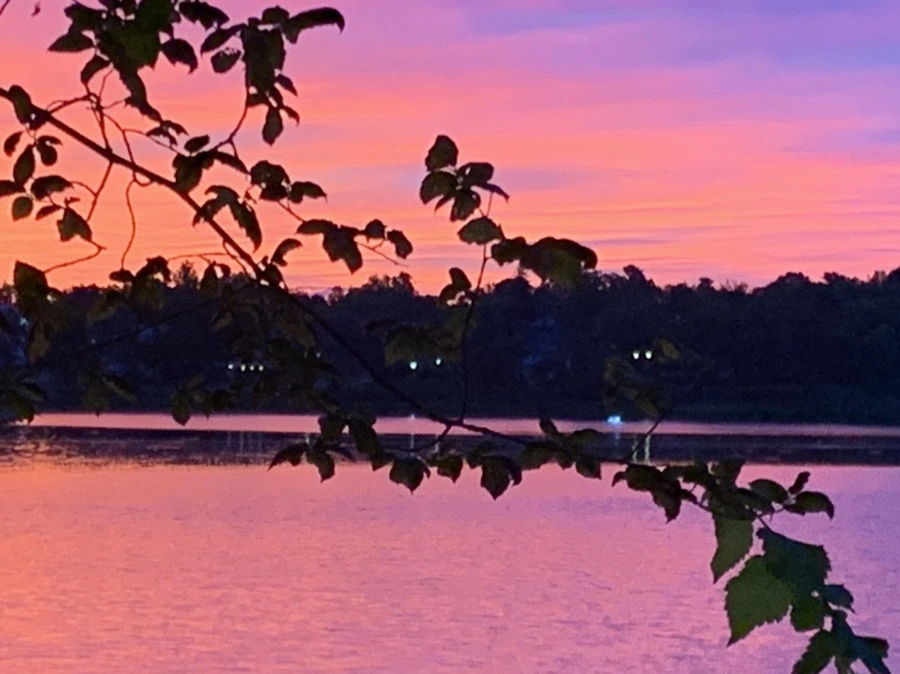 IMG_5817.jpg?type=w966