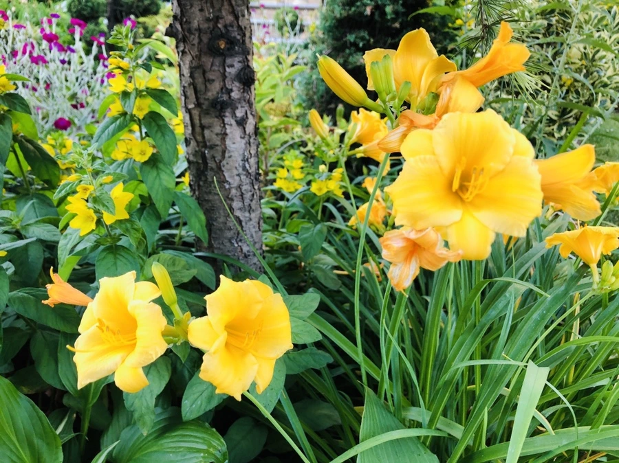 IMG_9394.jpg?type=w966