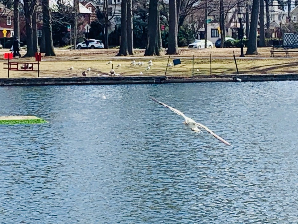 IMG_7240.jpg?type=w966