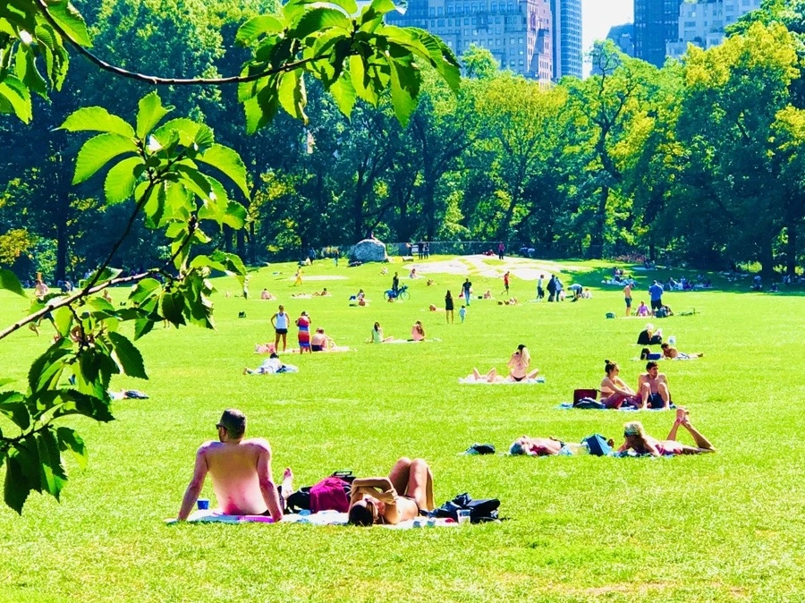 twIE4uwyqDStVnJtHpapTWwrkQM