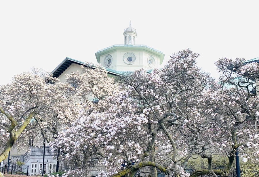 IMG_6531.jpg?type=w966