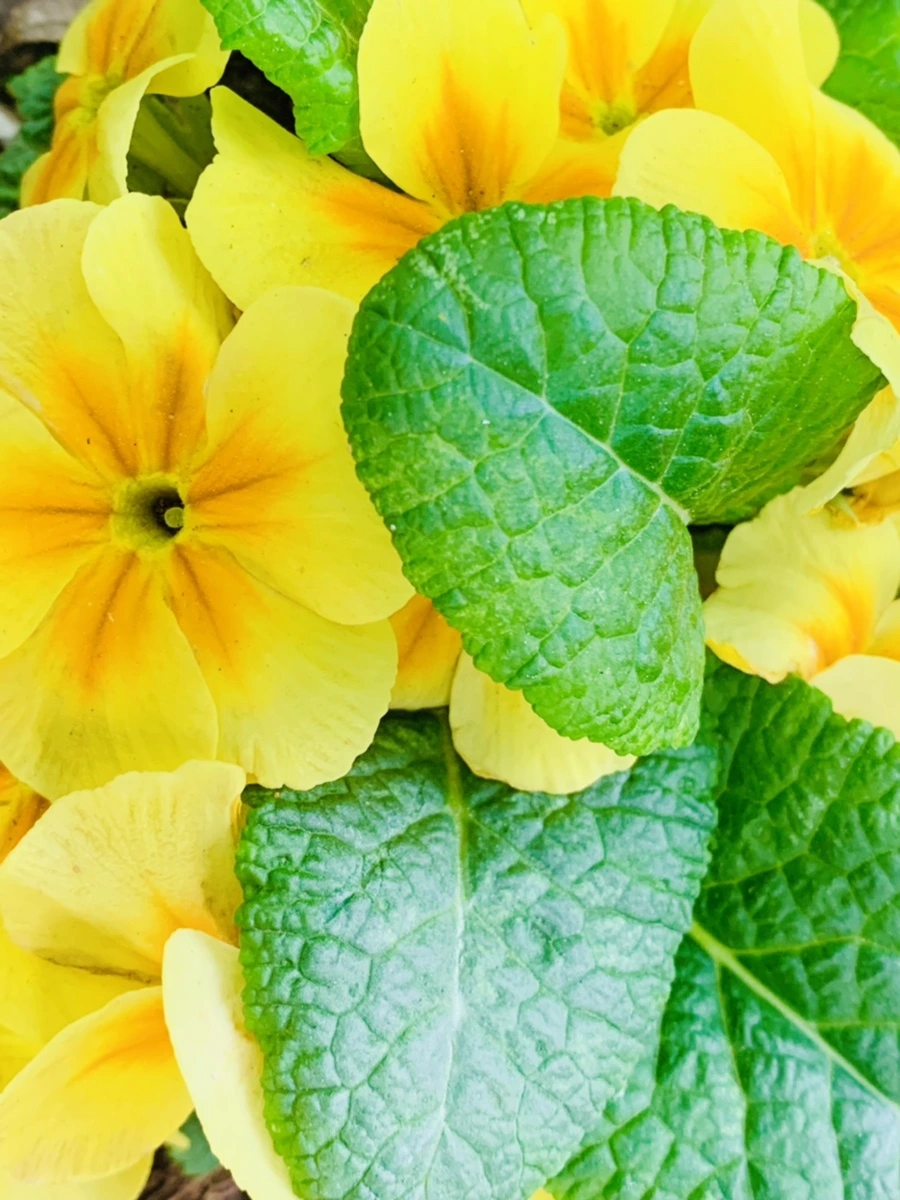 IMG_9031.jpg?type=w966