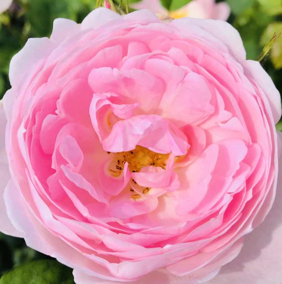 b85qj1HTUsEGj8xqndXlCPGGoY4