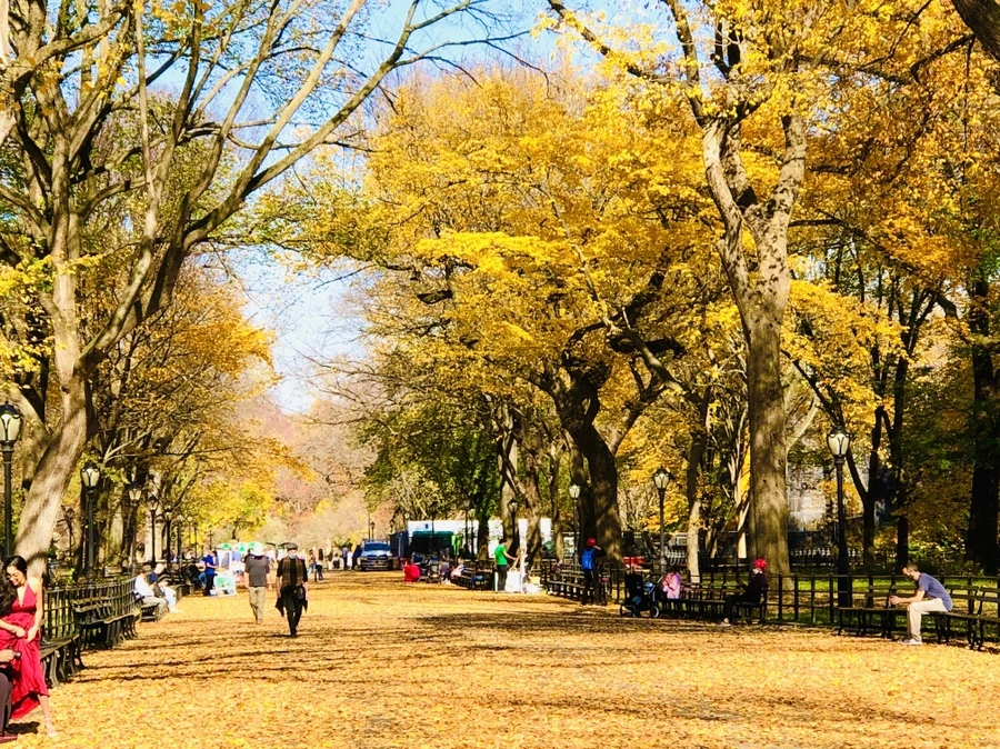 IMG_4246.jpg?type=w966