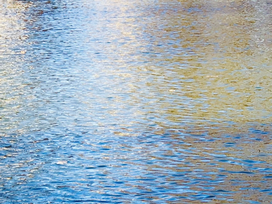 IMG_3877.jpg?type=w966