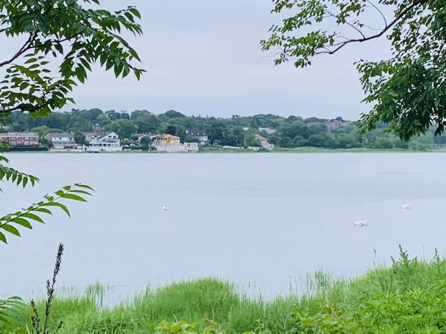 IMG_6958.jpg?type=w966