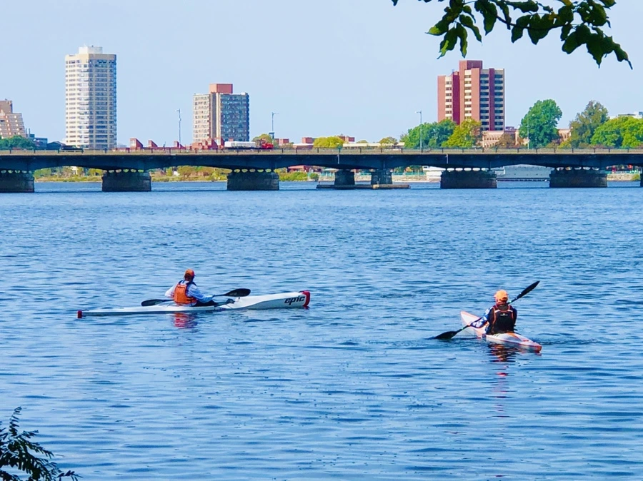 IMG_0944.jpg?type=w966