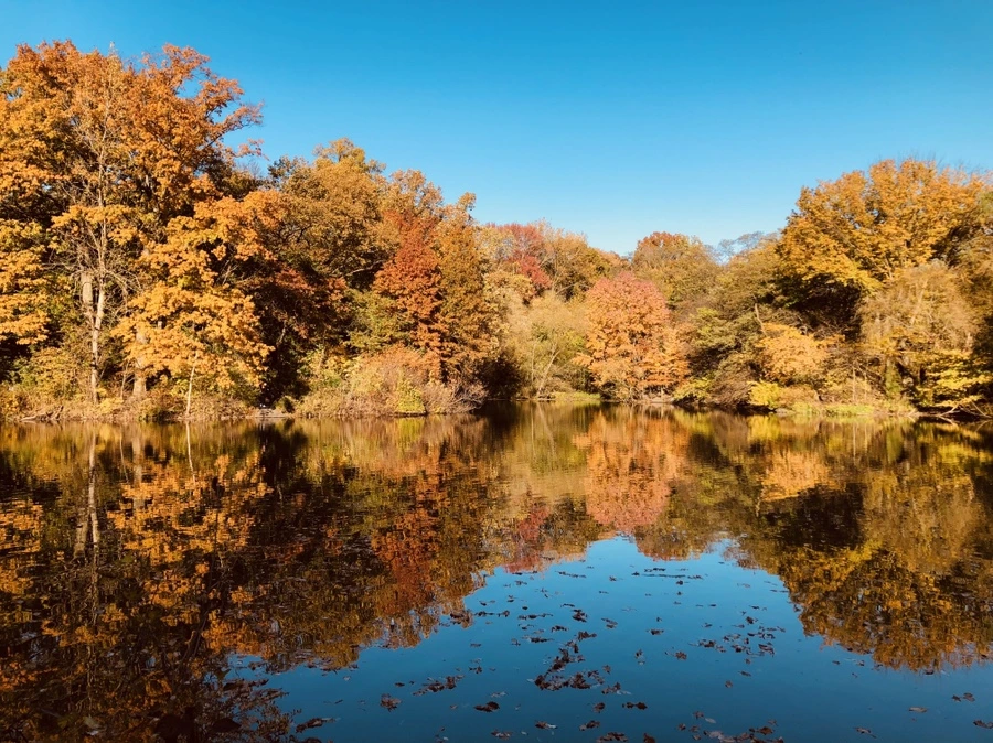 IMG_3581.jpg?type=w966