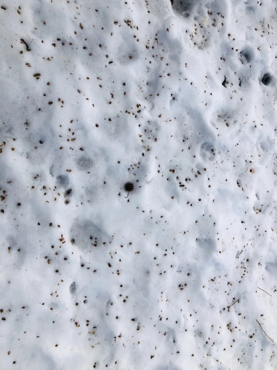 IMG_2910.jpg?type=w966