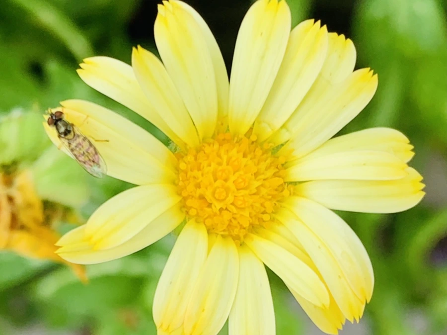 IMG_1047.jpg?type=w966