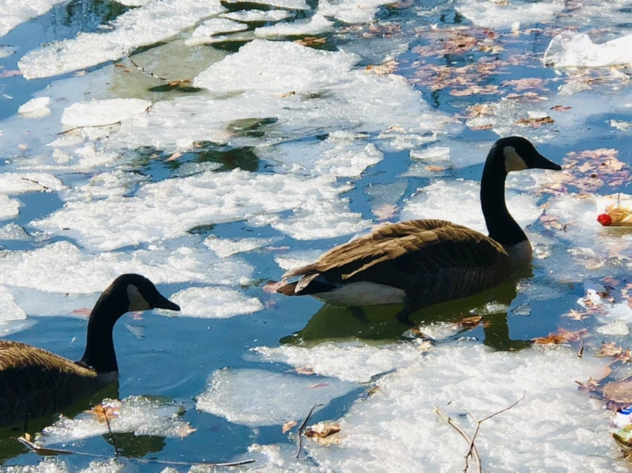 IMG_5090.jpg?type=w966