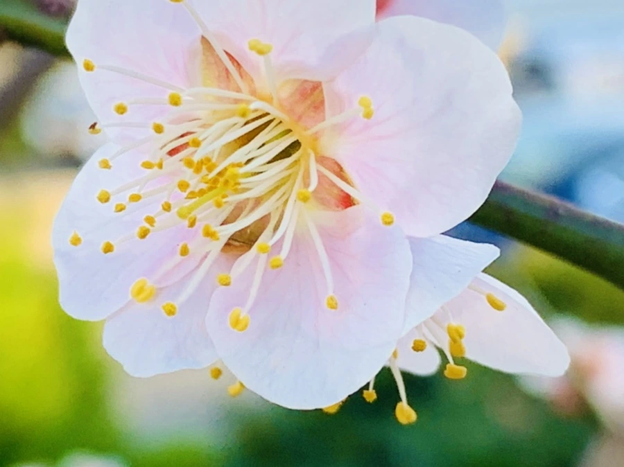 IMG_0778.jpg?type=w966