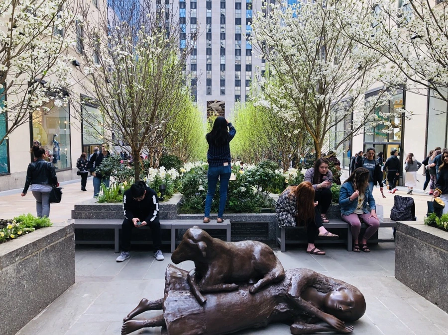 IMG_3850.jpg?type=w966