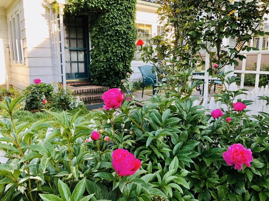 9nY_zXRSNIKTbNqk1Fp_-o5OeWo