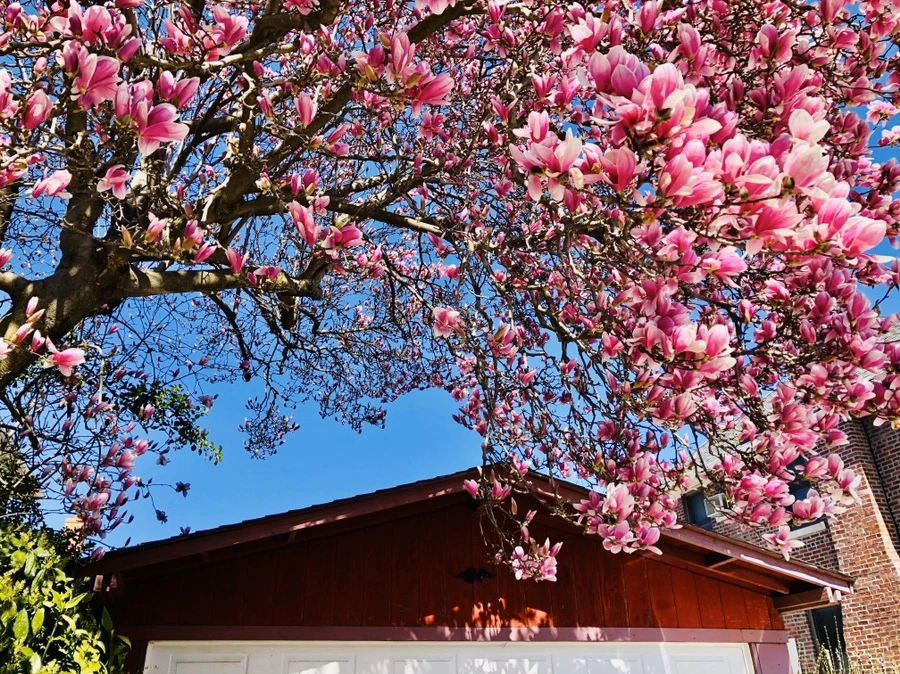 IMG_6557.jpg?type=w966