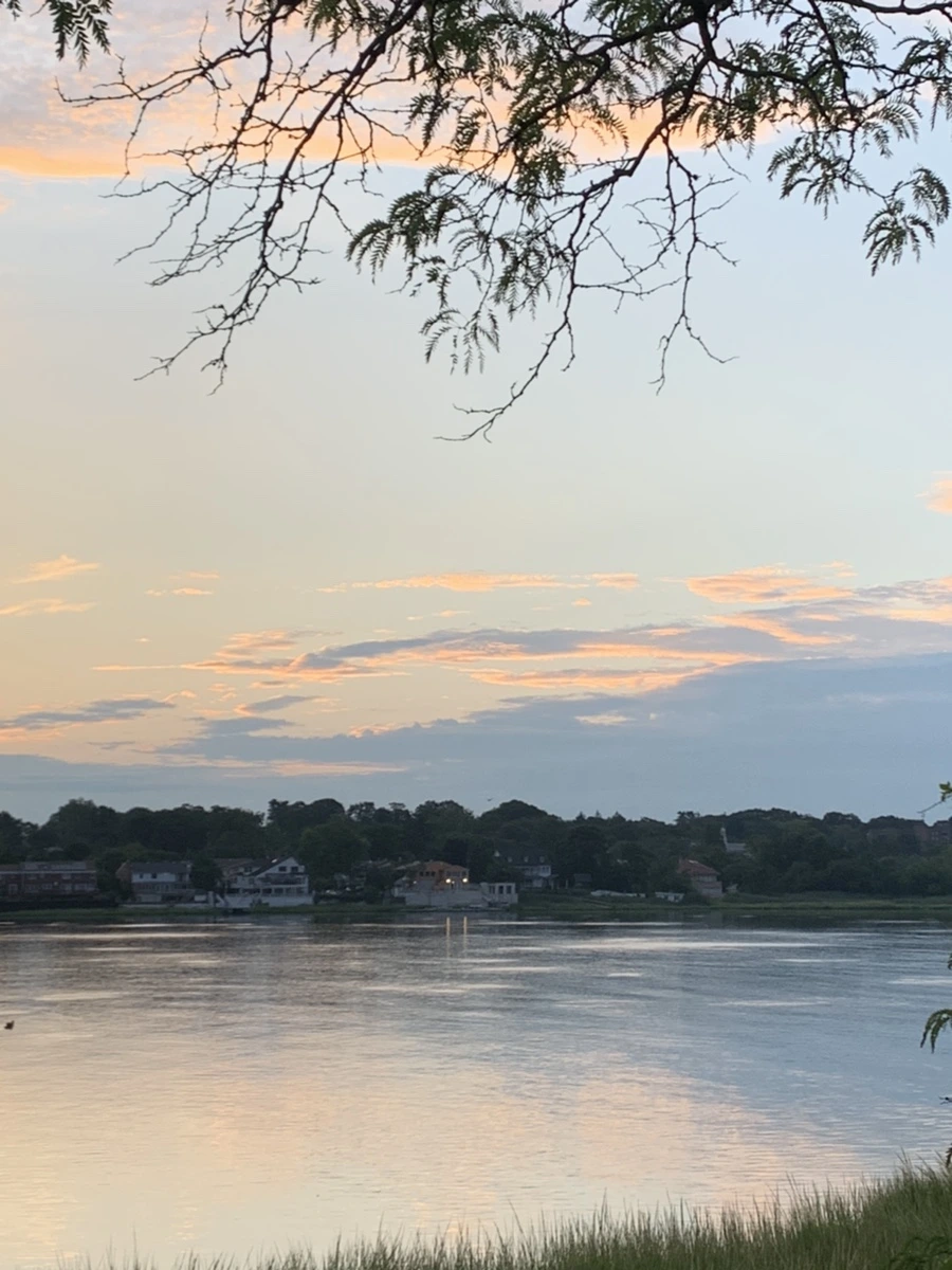 IMG_1207.jpg?type=w966