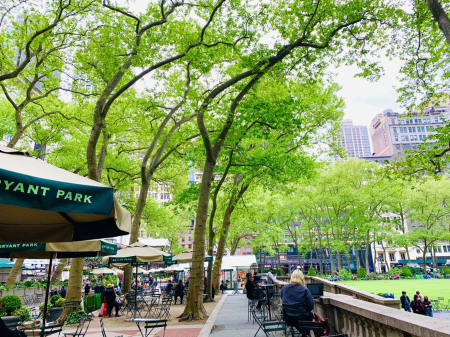 IMG_1708.jpg?type=w966