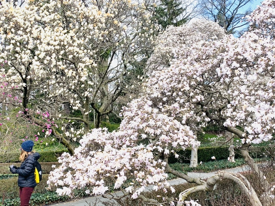 IMG_6509.jpg?type=w966