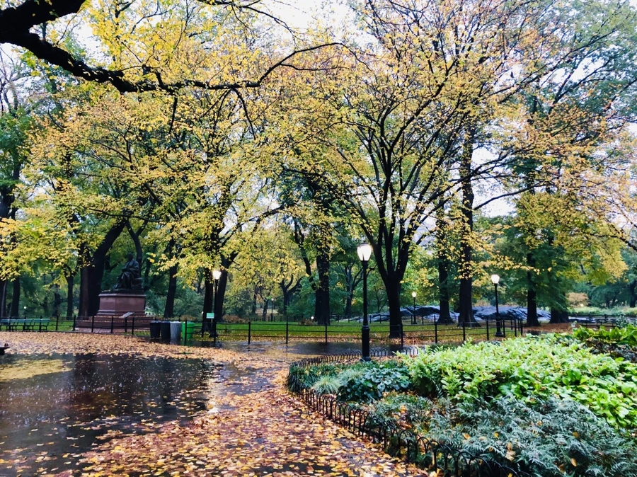 IMG_3124.jpg?type=w966